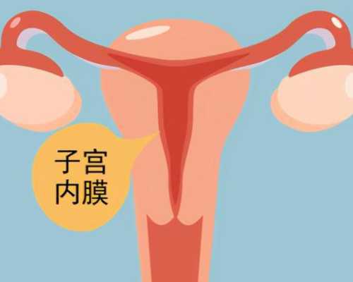 国内供卵多少费用一次,美国试管成功率有多高，附费明细参考！